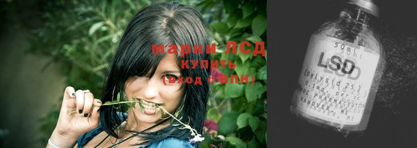 молекула духа Алзамай
