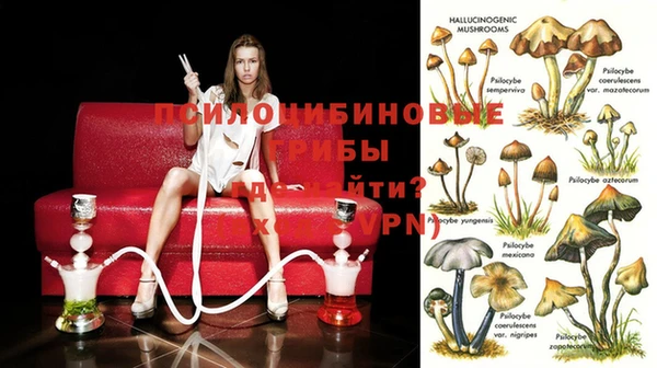 молекула духа Алзамай