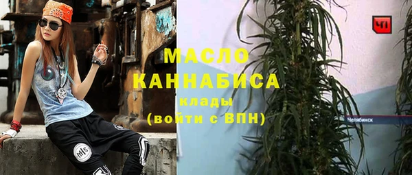 мет Алексин